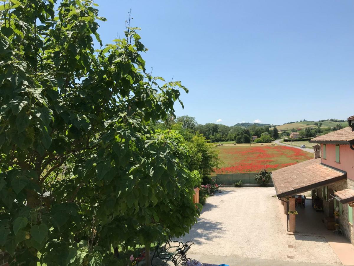 Tra I Campi Di Papaveri Medesano Екстериор снимка