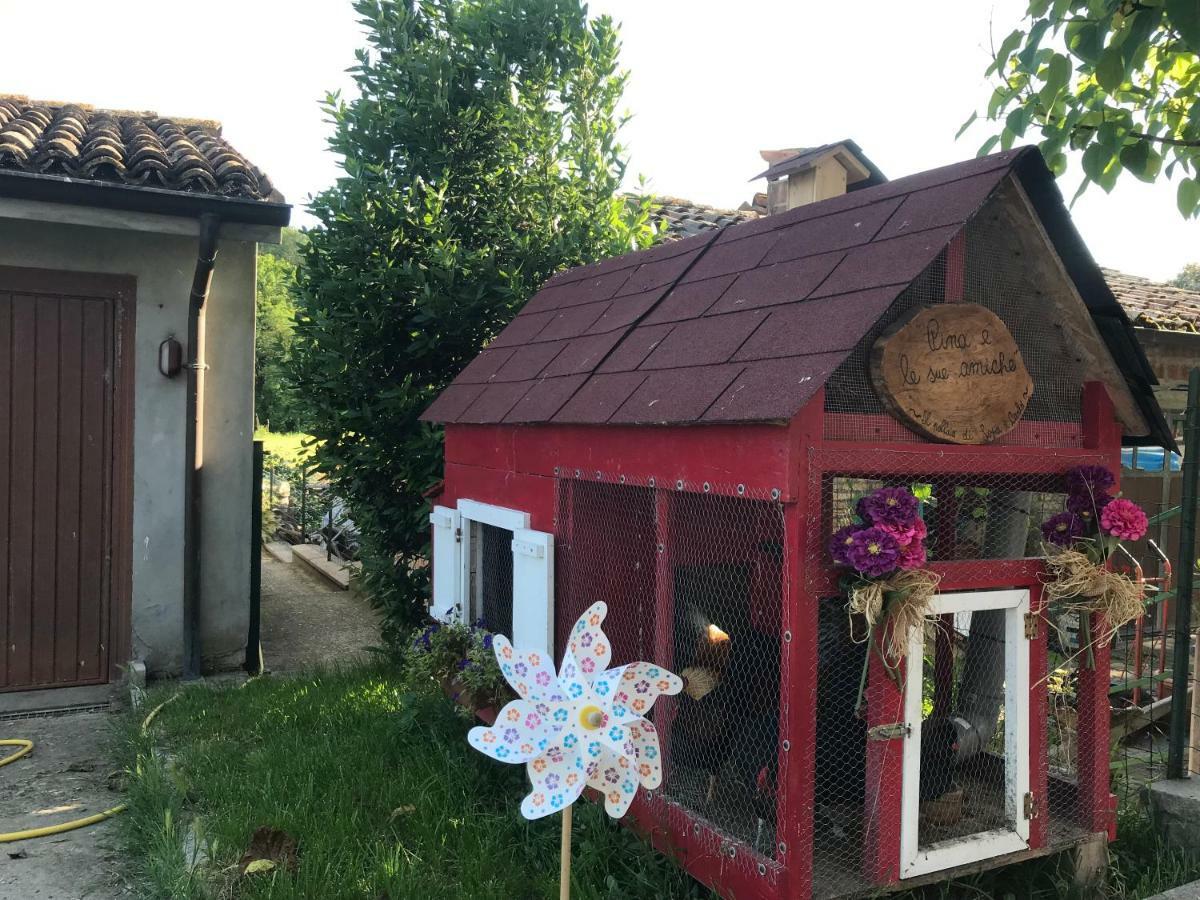 Tra I Campi Di Papaveri Medesano Екстериор снимка