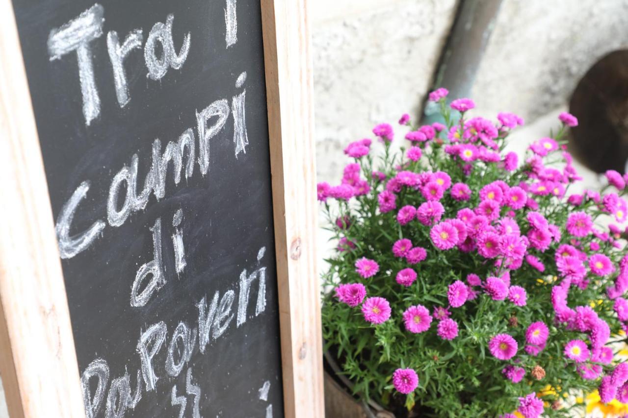 Tra I Campi Di Papaveri Medesano Екстериор снимка